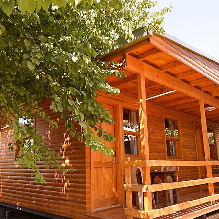 Tolay Hotel Ölüdeniz Zewnętrze zdjęcie